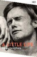 A Little Life: Shortlisted for the Man Booker Prize 2015 (Picador Collection)