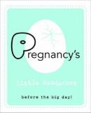 Pregnancy's Little Headaches: Before the big day! (Ciltli)
