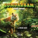 Sundarban - Güzel Orman