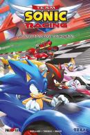 Kirpi Sonic: Sonic Takımı Yarışta