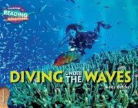 2 Wayfarers Diving Under the Waves Reading Adventures