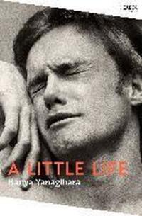 A Little Life: Shortlisted for the Man Booker Prize 2015 (Picador Coll