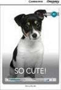 A1 So Cute! (Book with Online Access code) Interactive Readers Kenna B