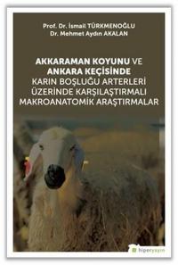 Akkaraman Koyunu ve Ankara Keçisinde Karın Boşluğu Arterleri Üzerinde Karşılaştırmalı Makroanatomik