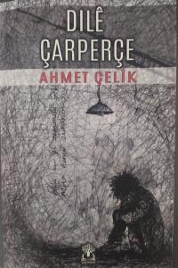 Dile Çarperçe (Ciltli) Ahmet Çelik