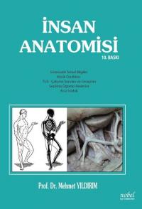 İnsan Anatomisi Kolektif