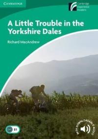 Level 3 A Little Trouble in the Yorkshire Dales Experience Readers Ric
