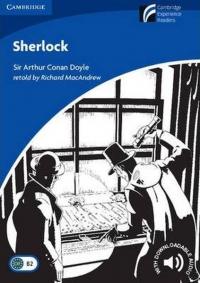 Level 5 Sherlock Experience Readers Richard Macandrew