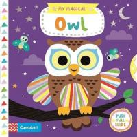 My Magical Owl (Ciltli)