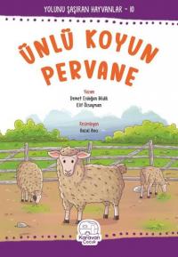 Ünlü Koyun Pervane - Yolunu Şaşıran Hayvanlar 10
